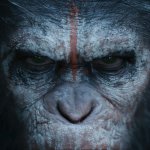 Dawn of the Planet of the Apes - Official Trailer