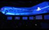 E3-Sony-(17).jpg