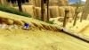 Sonic_Unleashed_-Nintendo_WiiScreenshots14578petra_ss_11_copy_copy.JPG