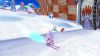 Mario___Sonic_at_the_Olympic_Winter_Games_-_GC_09-Wii___DSScreenshots18024Dream_Alpine_(8).jpg