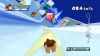 Mario___Sonic_at_the_Olympic_Winter_Games_-_GC_09-Wii___DSScreenshots18044Skeleton.jpg