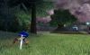 Sonic_and_the_Black_Knight-Nintendo_WiiScreenshots15980screenshot_00001476.jpg