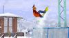 TS3_Seasons_Snowboarder.jpg