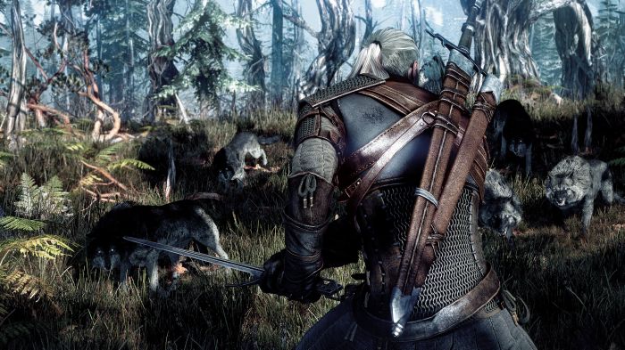 PREVIEW - The Witcher 3